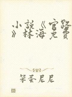 小说《官路风云》林海免费阅读