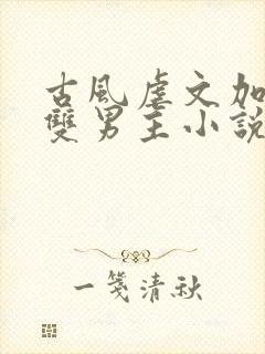 古风虐文加虐身双男主小说