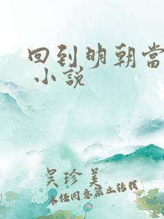 回到明朝当暴君 小说