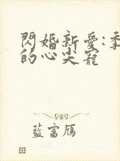 闪婚新爱:季少的心尖宠