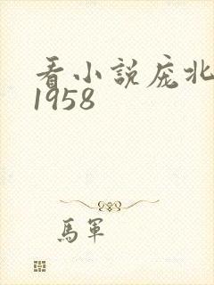 看小说庞北重生1958