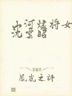 山河烬将女为凰沈云昭