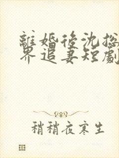 离婚后沈总满世界追妻短剧