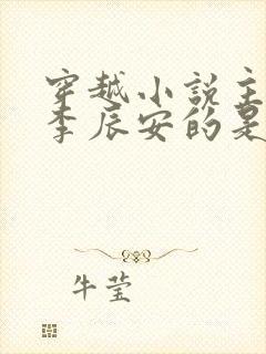 穿越小说主角叫李辰安的是什么小说