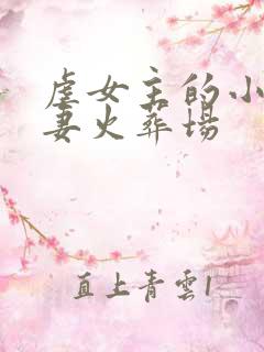 虐女主的小说追妻火葬场