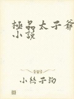 极品太子爷唐生小说