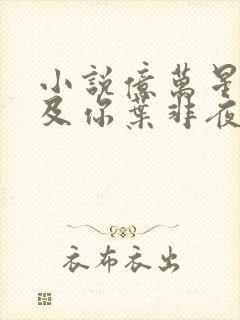 小说亿万星辰不及你叶非夜