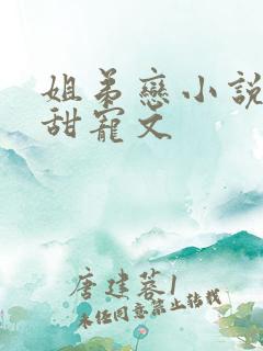 姐弟恋小说推荐甜宠文