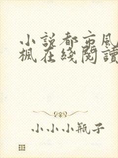 小说都市风情王枫在线阅读