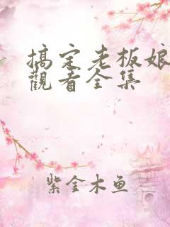 搞定老板娘免费观看全集