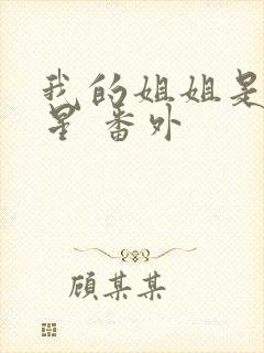 我的姐姐是大明星 番外