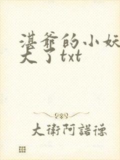 湛爷的小妖精长大了txt