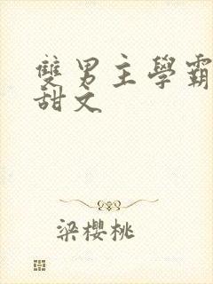 双男主学霸校园甜文