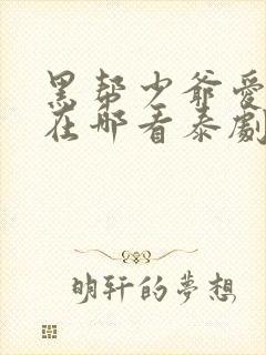 黑帮少爷爱上我在哪看泰剧