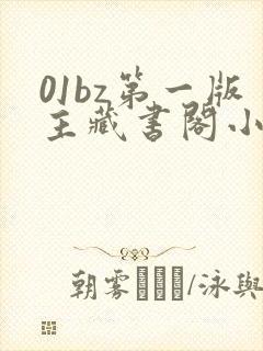 01bz第一版主藏书阁小说网
