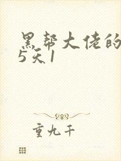 黑帮大佬的365天1