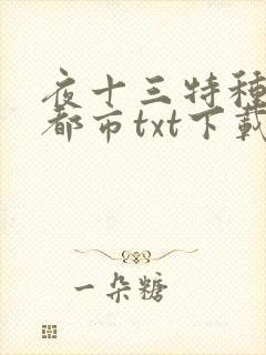 夜十三特种兵在都市txt下载