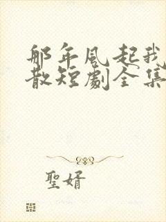 那年风起我们走散短剧全集在线观看