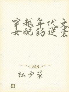 穿越年代文恶毒女配的逆袭路