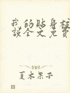 我的贴身校花小说全文免费阅读全文