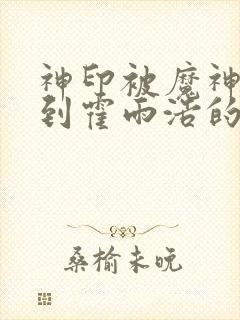 神印被魔神皇捡到霍雨浩的小说