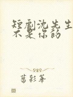 短剧沈先生孩子不是你的