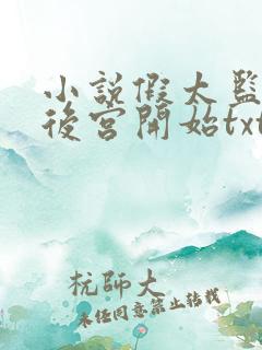 小说假太监:从后宫开始txt