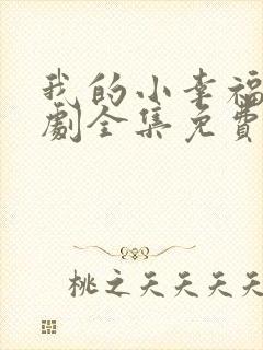 我的小幸福电视剧全集免费观看