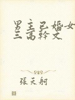 男主已婚女主小三高干文