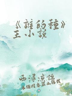 《谁的种》双男主小说