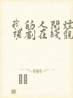 我的人间烟火电视剧在线观看免费