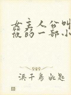 女主人公叫顾筱筱的一部小说