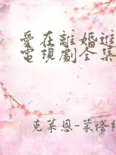 爱在离婚进行时电视剧全集免费观看