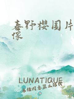 春野樱图片 头像