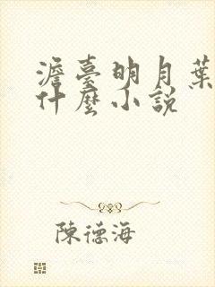 澹台明月叶玄是什么小说