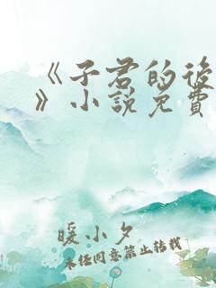 《子君的后半生》小说免费阅读