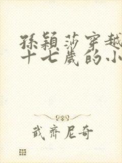 孙颖莎穿越回到十七岁的小说