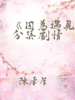 《因为遇见你》分集剧情