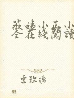 薇姨小正小说大全在线阅读