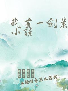 我有一剑叶观的小说