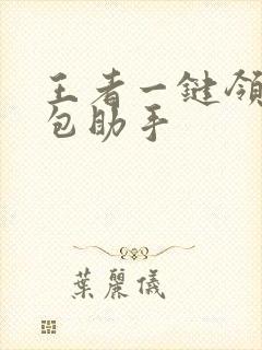 王者一键领取礼包助手