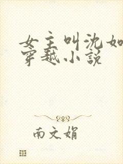 女主叫沈如意的穿越小说