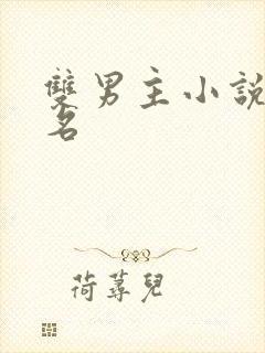 双男主小说前十名