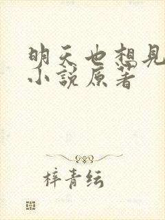 明天也想见到你小说原著