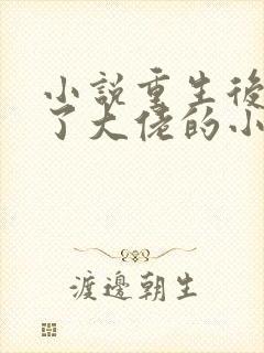 小说重生后我成了大佬的小心肝