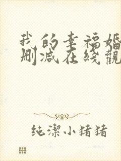 我的幸福婚约无删减在线观看