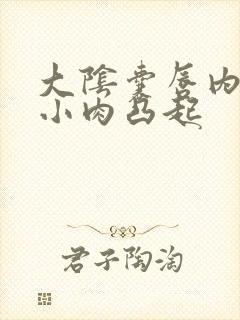 大阴囊唇内侧有小肉凸起