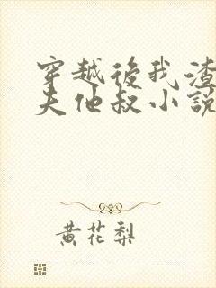 穿越后我渣了前夫他叔小说全文免费阅读