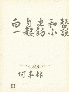 白月光和替身在一起的小说双男主