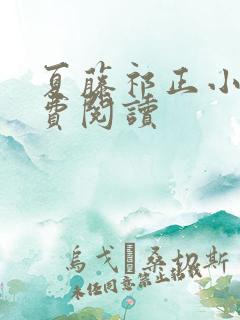 夏藤祁正小说免费阅读